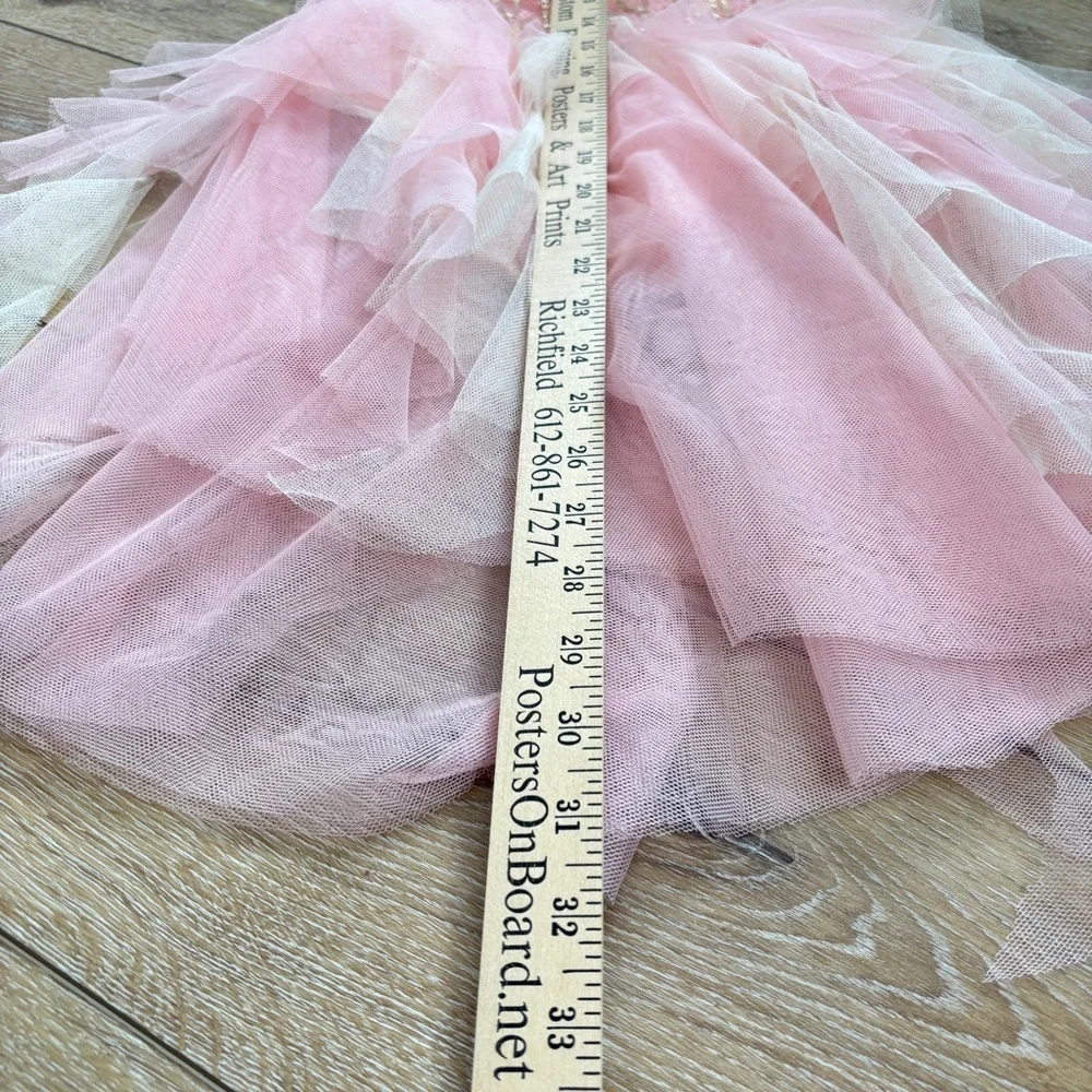 A Wish Come True Dance Ballet Costume Pink Size LC 